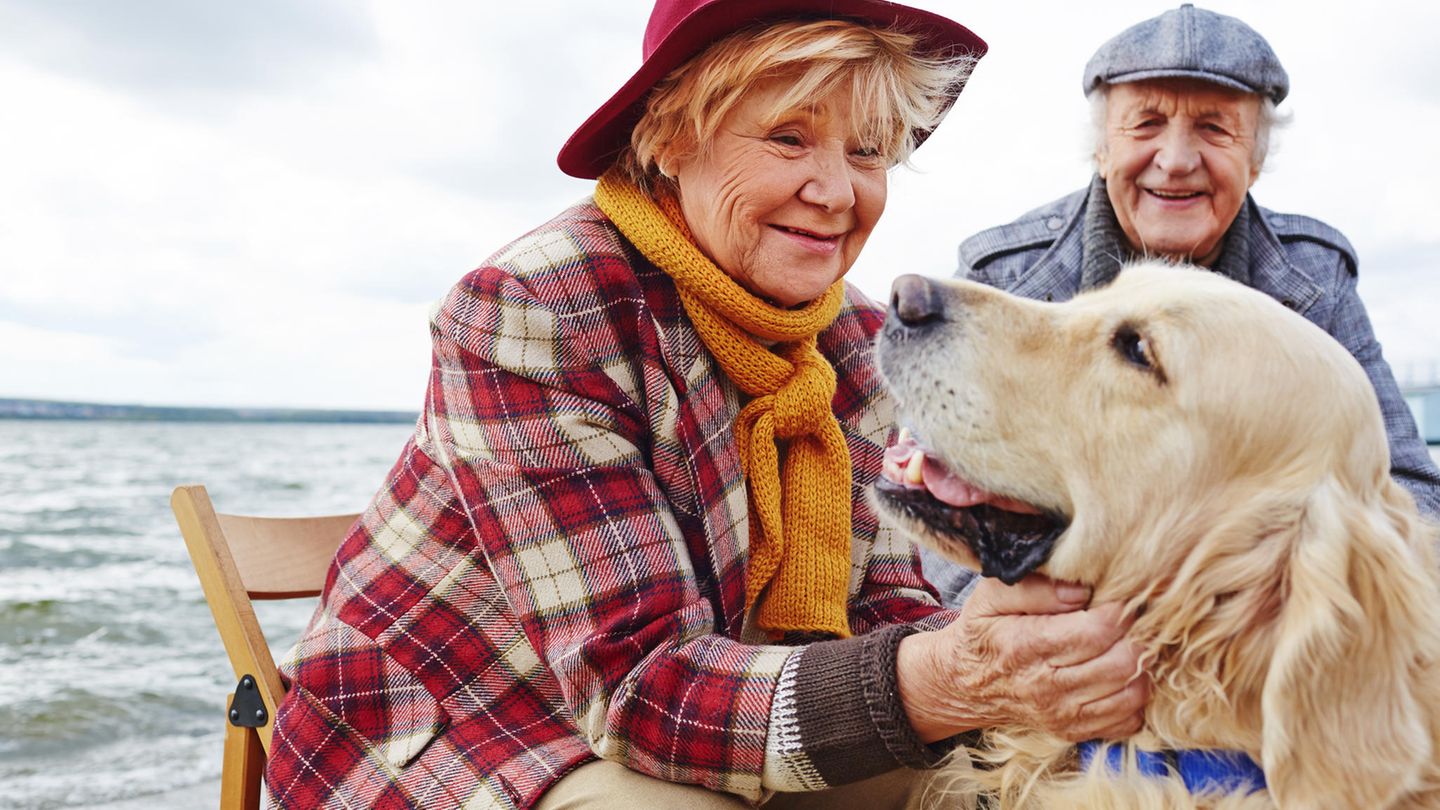Älteres Pärchen mit Hund Älteres Pärchen mit Hund