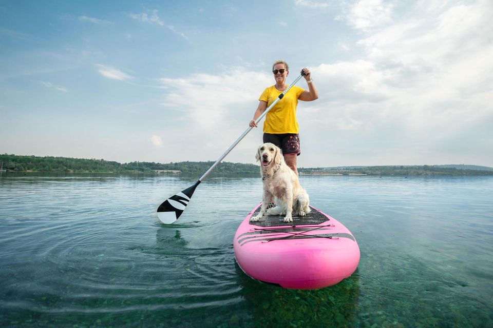 Abkühlung auf dem Wasser: Stand-Up-Paddling mit Hund
