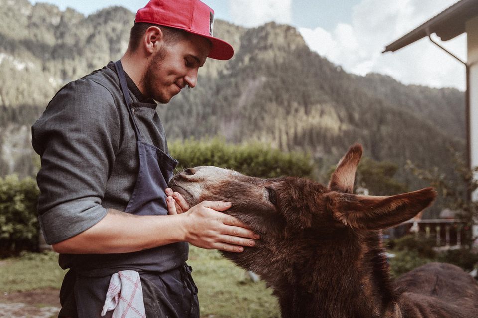 Junger Koch streichelt einen Esel, im Hintergrund die Berge
