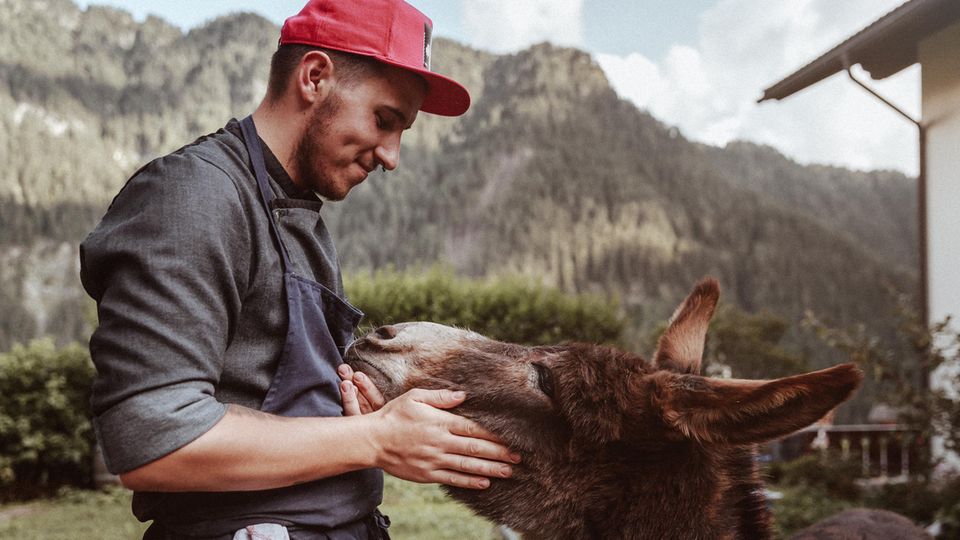 Junger Koch streichelt einen Esel, im Hintergrund die Berge Junger Koch streichelt einen Esel, im Hintergrund die Berge