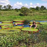 In Bolivien hat Carlos Magdalena Victoria boliviana in ihrem natürlichen Habitat studiert