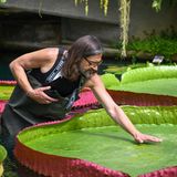 Von dem größten Erfolg seiner 20-jährigen Laufbahn bei den Royal Botanical Gardens spricht der Entdecker von Victoria boliviana, Carlos Magdalena