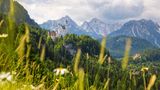 Naturpark Ammergauer Alpen - Schloss Neuschwanstein und Schloss Hohenschwangau in den Ammergauer Alpen, dahinter Gehrenspitze (Tannheimer Gruppe). 