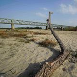 Blick auf das ausgetrocknete Po-Flussbett unter der Ponte della Becca