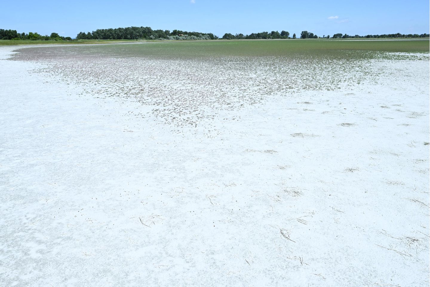 Österreich: Wasserstand auf historischem Tiefstwert Blick auf den ausgetrockneten Oberen Stinkersee in Österreich