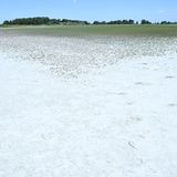 Blick auf den ausgetrockneten Oberen Stinkersee in Österreich