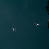 Mehrere Schwimmer trainieren im Straussee in Brandenburg. Strausberg, 14.08.2020