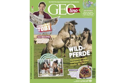 GEOlino Magazin: Wildpferde