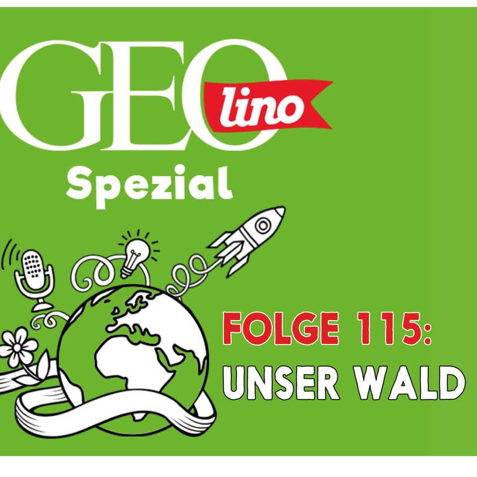 In Folge 115 unseres GEOlino-Podcasts geht es um unseren Wald