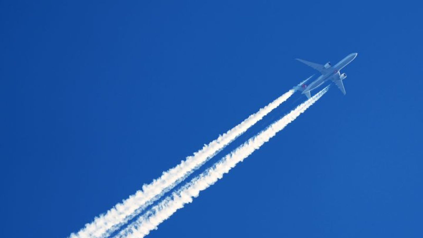 Fliegen