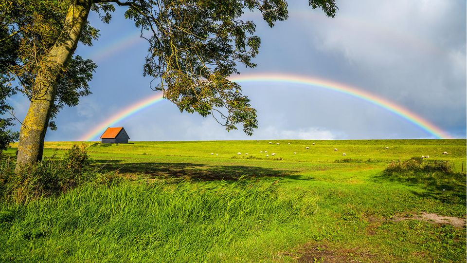 Schlechtes Wetter hat auch seine schönen Seiten, wie etwa bunte Regenbögen.