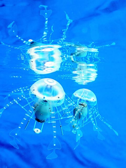 Kommunikativ wie Quallen: Zu den frühen Projekten von Festo zählen selbstständig agierende Robo-Quallen, die "AquaJellies". Über LEDs kommunizieren sie, sie bewegen und positionieren sich relativ zueinander und zeigen so Schwarmverhalten