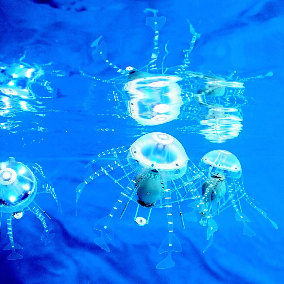 Kommunikativ wie Quallen: Zu den frühen Projekten von Festo zählen selbstständig agierende Robo-Quallen, die "AquaJellies". Über LEDs kommunizieren sie, sie bewegen und positionieren sich relativ zueinander und zeigen so Schwarmverhalten