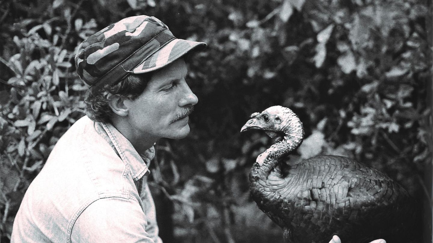 Als Joe Hutto auf seiner Veranda 24 Truthahneier fand, begann ein abenteuerliches Experiment: Er wurde zum Vogelvater, zog die Küken auf und lebte über ein Jahr mit ihnen 