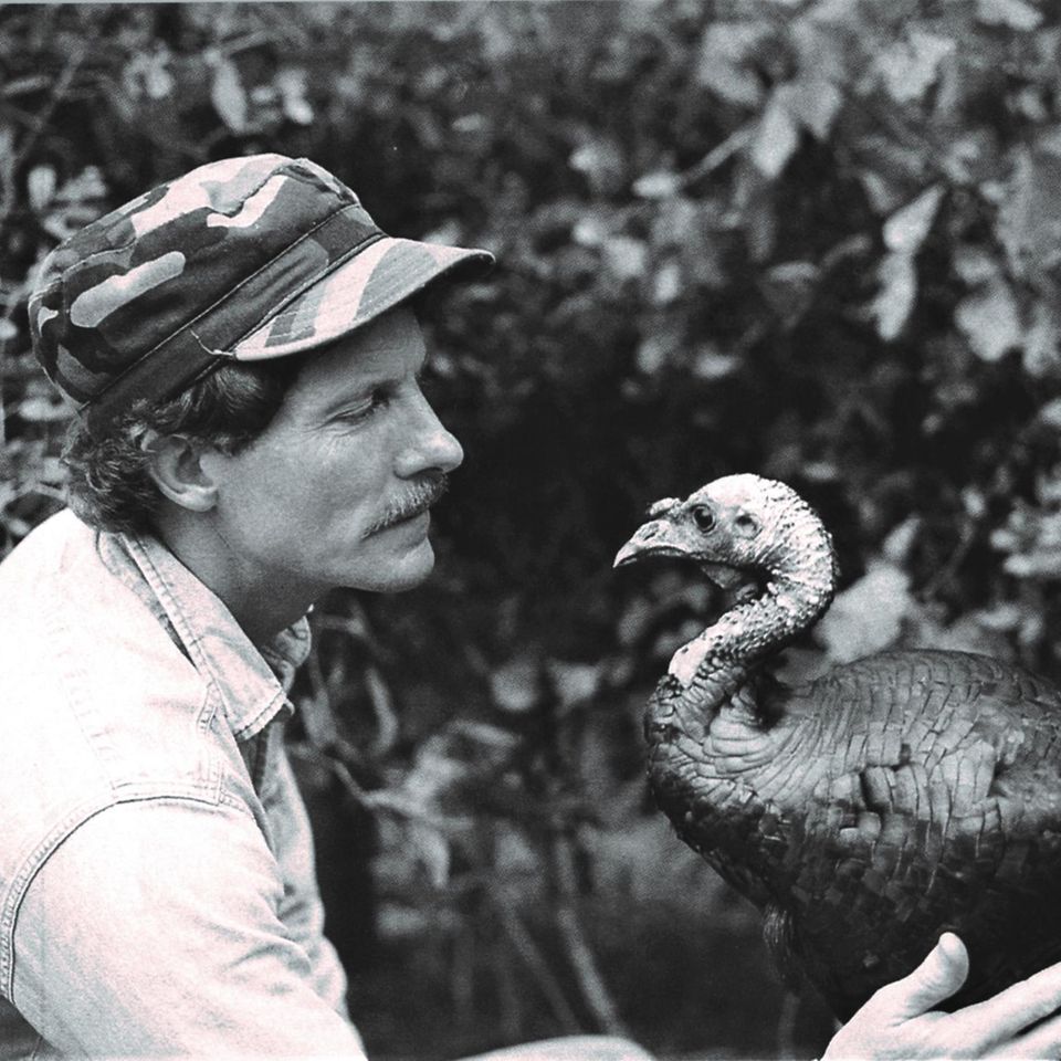 Als Joe Hutto auf seiner Veranda 24 Truthahneier fand, begann ein abenteuerliches Experiment: Er wurde zum Vogelvater, zog die Küken auf und lebte über ein Jahr mit ihnen 