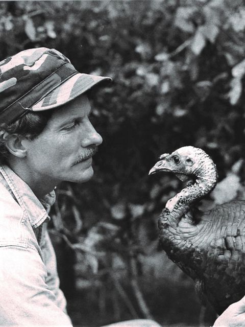 Als Joe Hutto auf seiner Veranda 24 Truthahneier fand, begann ein abenteuerliches Experiment: Er wurde zum Vogelvater, zog die Küken auf und lebte über ein Jahr mit ihnen 