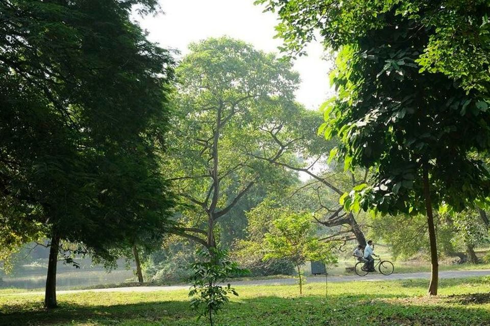 Bäume im Botanischen Garten von Kalkutta