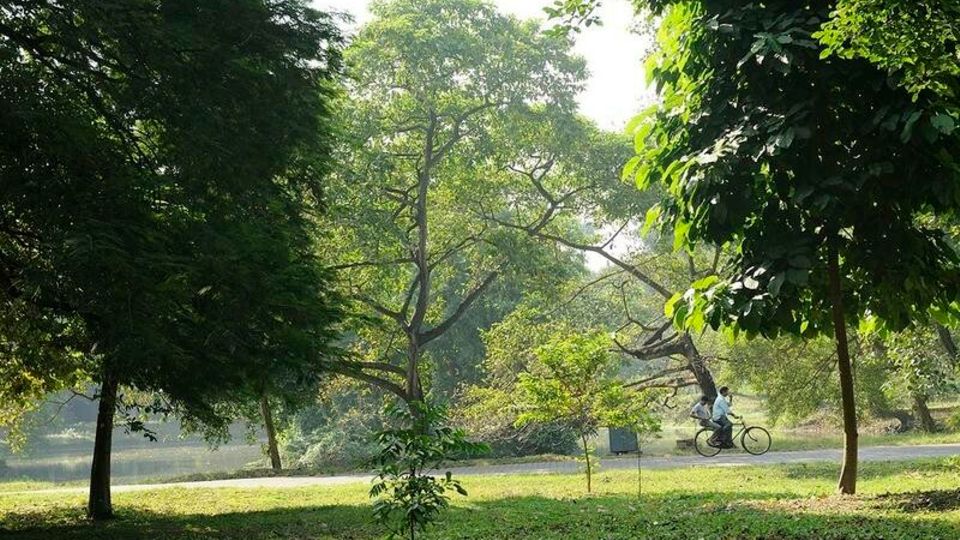 Bäume im Botanischen Garten von Kalkutta