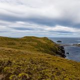 Blick von der Küste auf das Meer