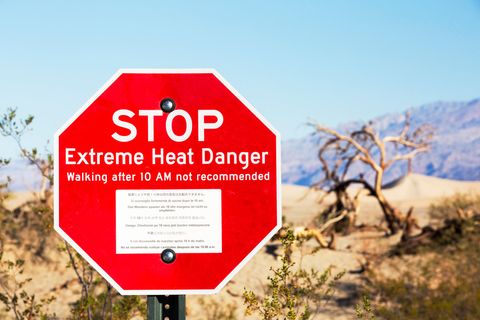 Das Death Valley ist der heißeste und trockenste Ort in den USA. In manchen Jahren regnet es gar nicht