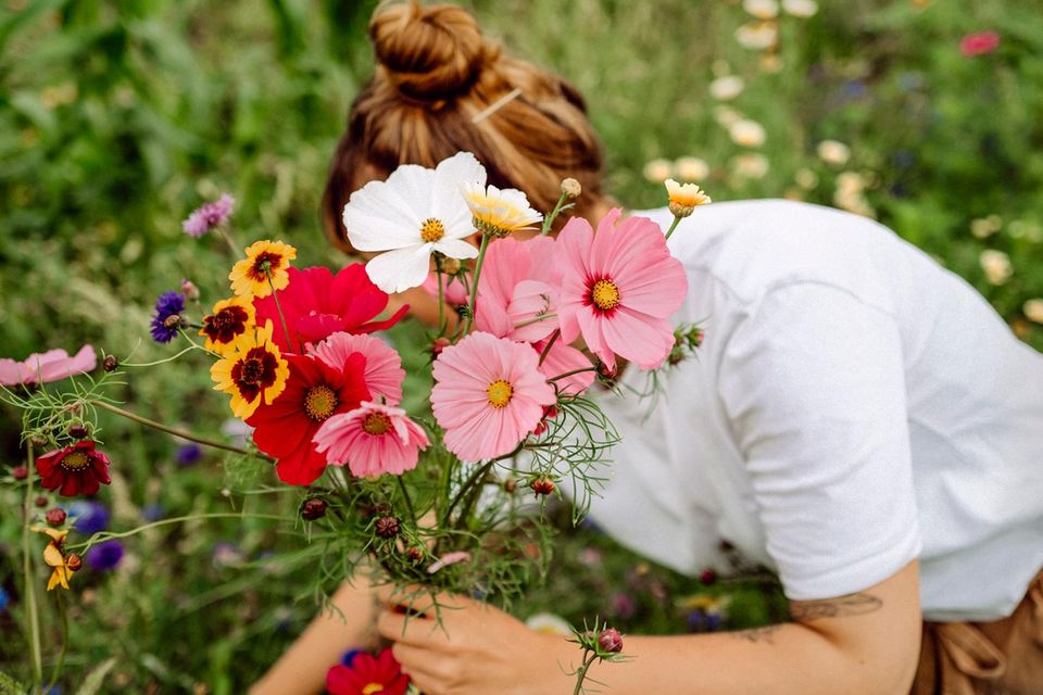Ihre Blumen bauen Xenia Bluhm und Nadja Neumann, die Gründerinnen von "Mentha Piperita Flowers",  ohne künstliche Pflanzenschutzmittel und mineralischen Dünger an