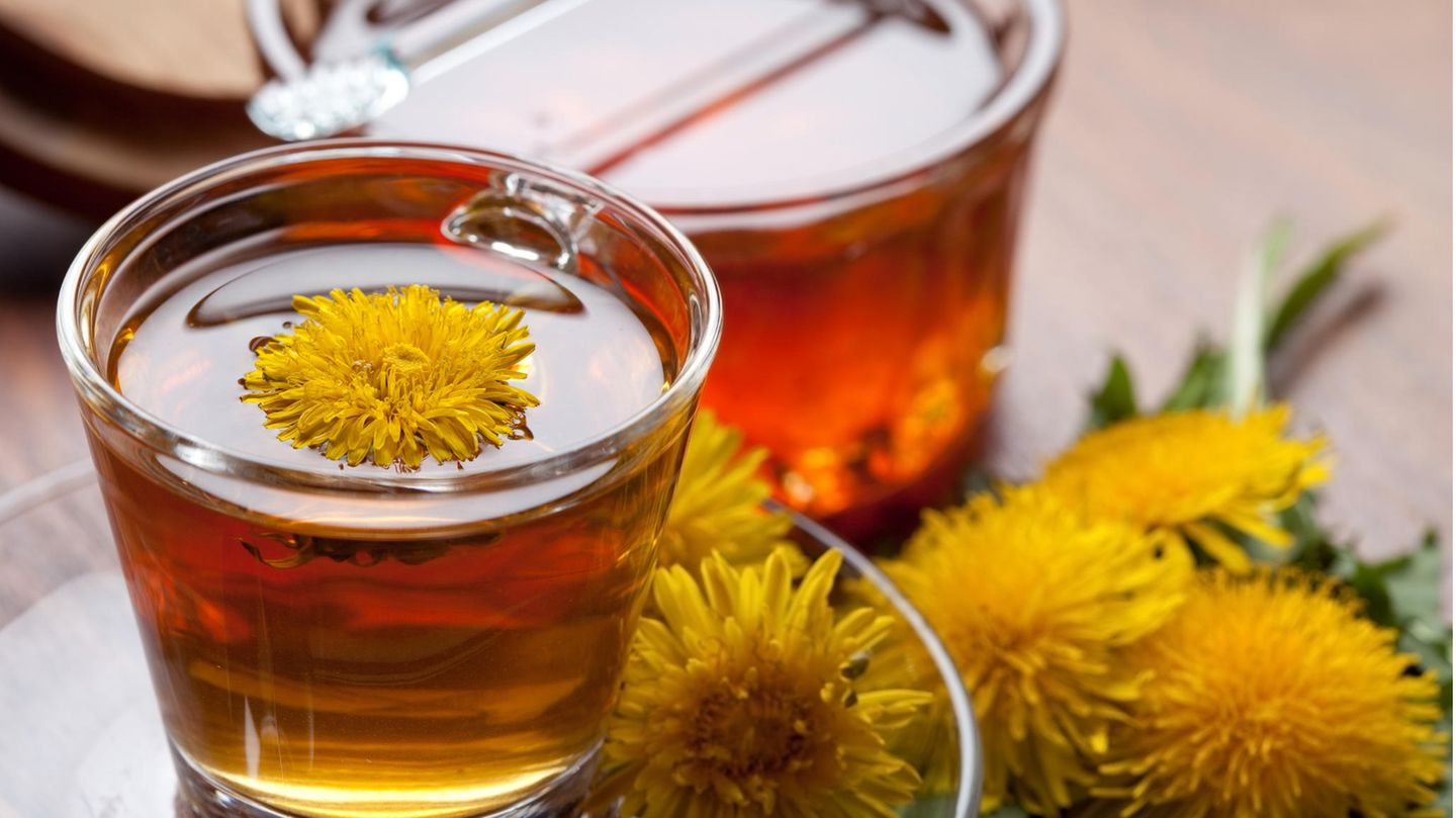 Löwenzahnhonig mit frischen Löwenzahnblüten