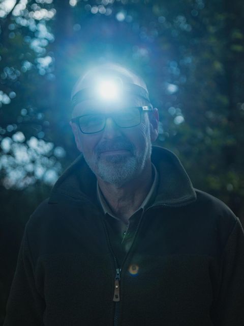 Peter Wohlleben rät: Gegen Bodenkälte schützt eine Schicht Fichtenzweige oder Reisig