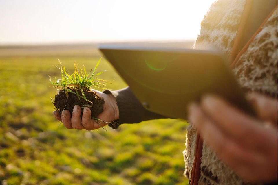 Gärtner schaut auf sein Tablet, in der anderen Hand ein Stück Erde und Gras