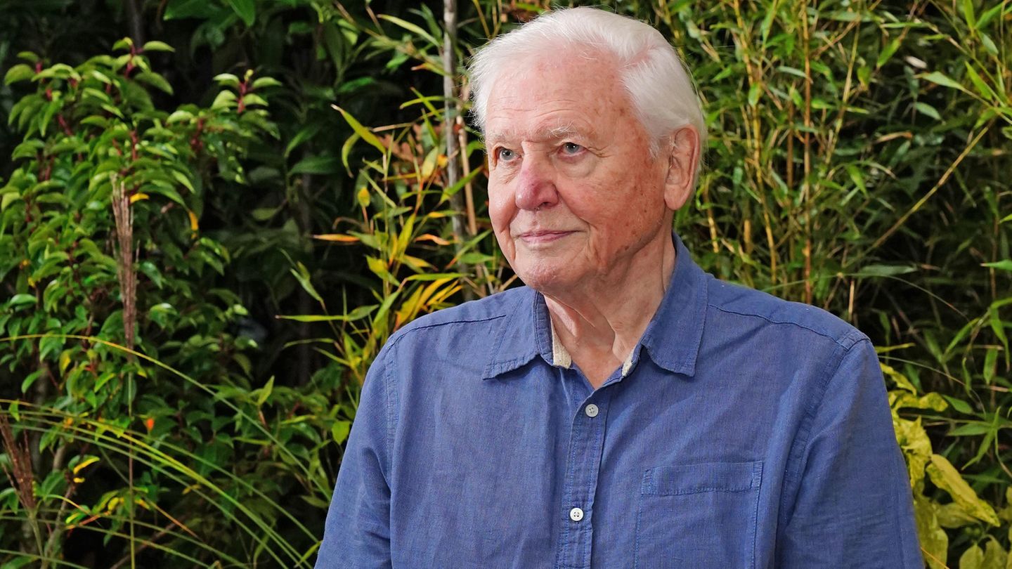 David Attenborough