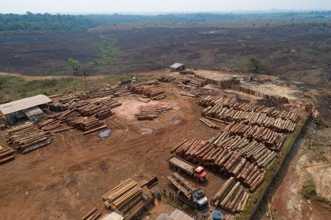 Brasilien, Porto Velho: Holzstämme werden in einem Sägewerk gestapelt, das von kürzlich verkohlten und abgeholzten Feldern umgeben ist