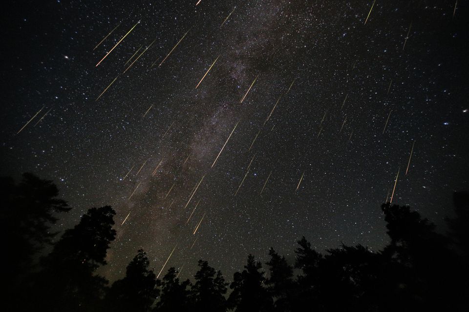 Sternschnuppenschauer am Nachthimmel über einem Wald