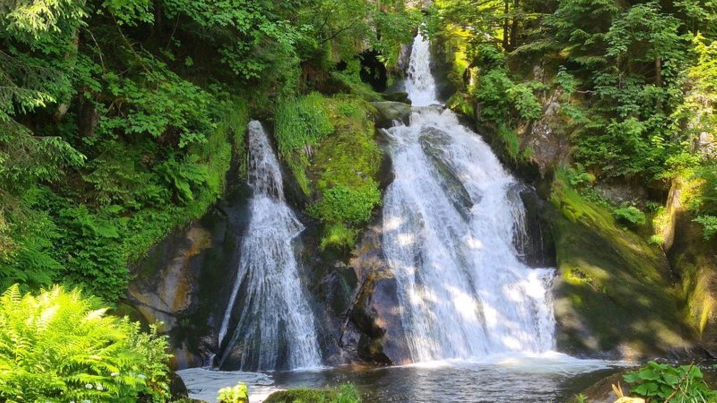Ein Wasserfall im Schwarzwald umrahmt von dichtem Grün