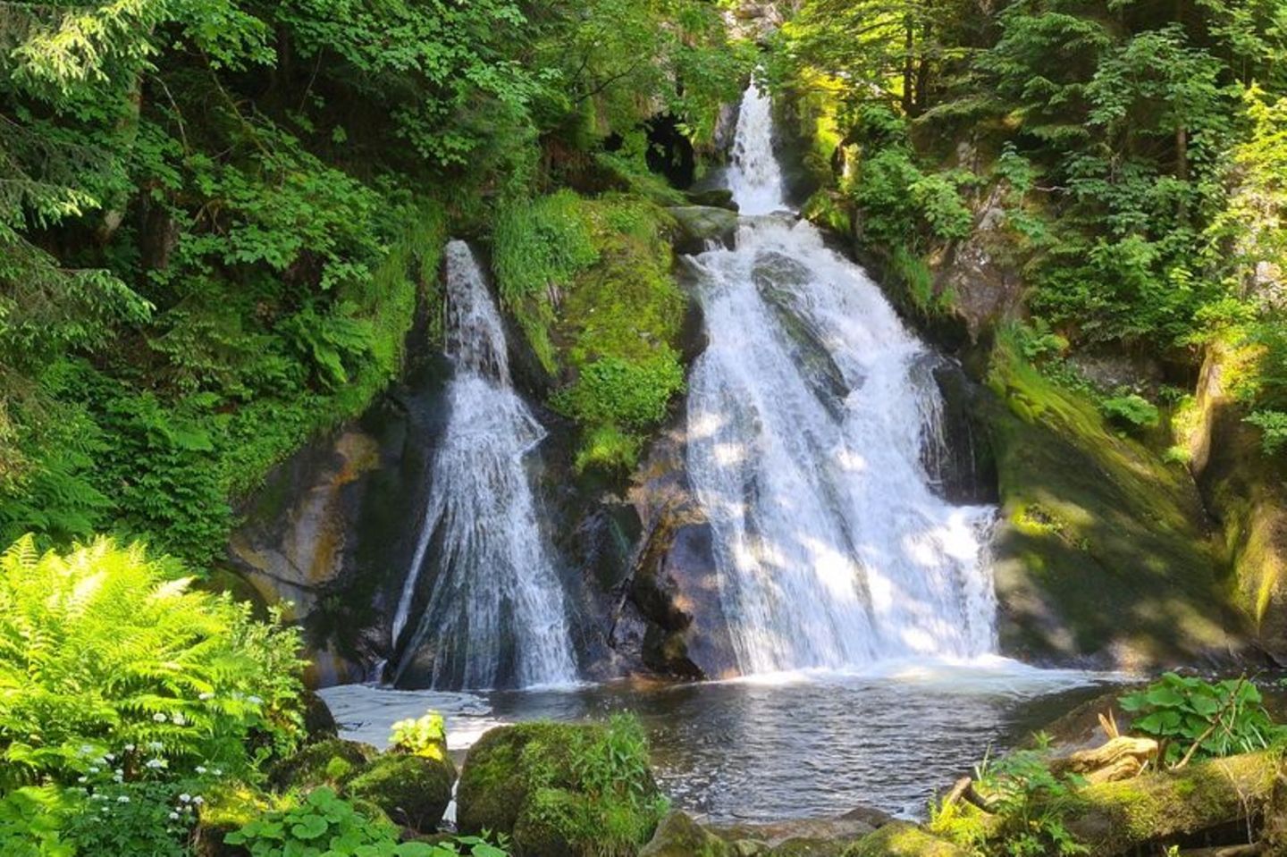 Ein Wasserfall im Schwarzwald umrahmt von dichtem Grün