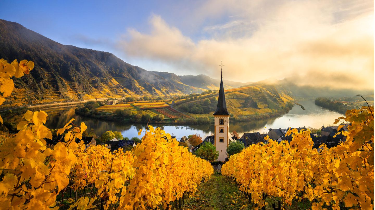 Rheinland-Pfalz: Reiseideen für den Herbst - [GEO]