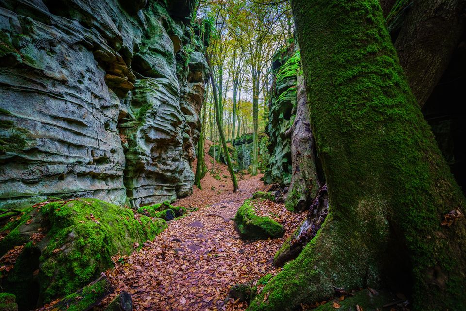 Teufelsschlucht in der Eifel