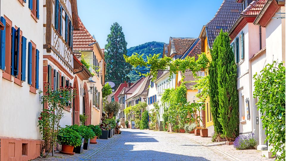 Rhodt unter Rietburg