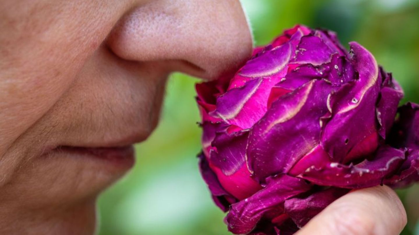 Eine Person riecht an einer Blume
