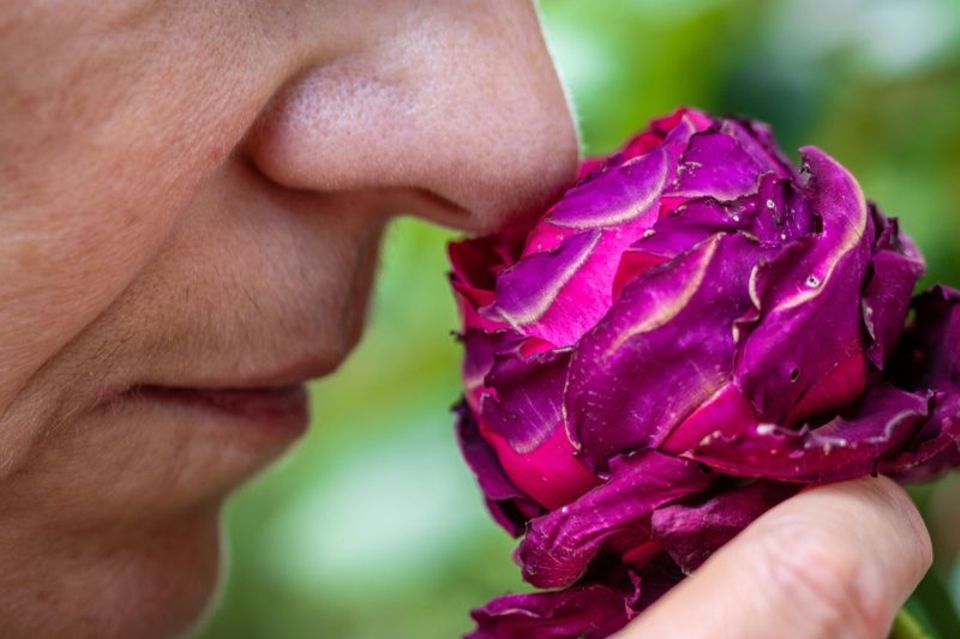 Eine Person riecht an einer Blume