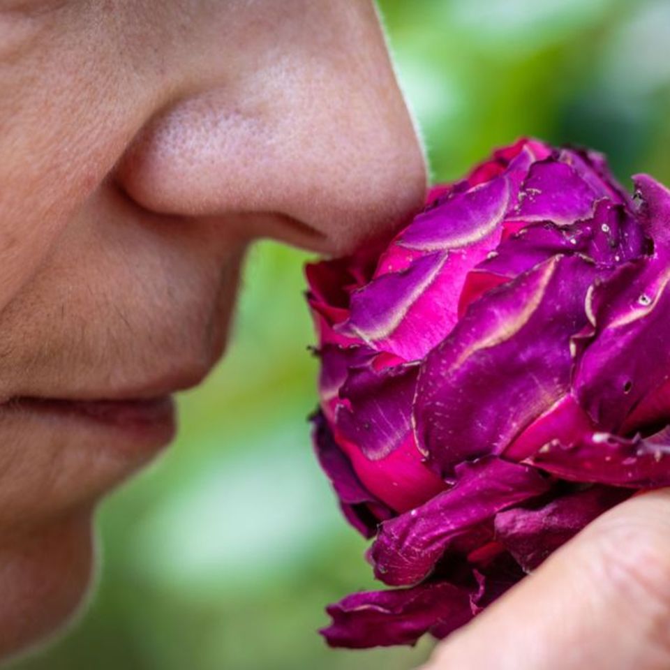 Eine Person riecht an einer Blume