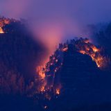 Schnell erstreckt sich das Feuer auf über 250 Hektar – die von der Hitze der vergangenen Wochen durchgetrockneten Bäume und Sträucher nähren die Flammen