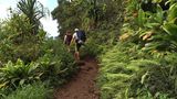 Zwei Personen wandern einen schmalen Pfad, der von Pflanzen umgeben ist, entlang