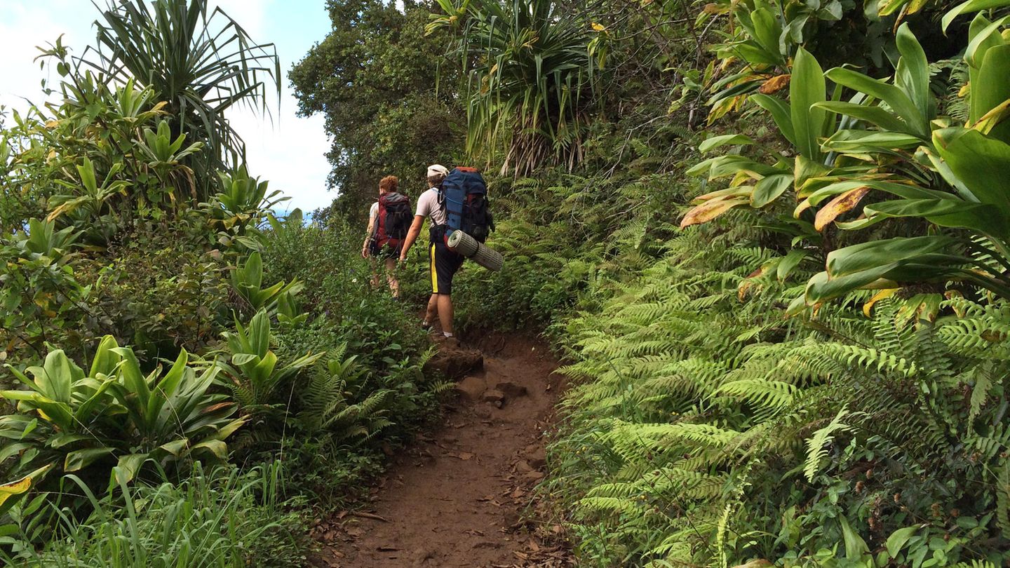 Kalalau-Trail Zwei Personen wandern einen schmalen Pfad, der von Pflanzen umgeben ist, entlang