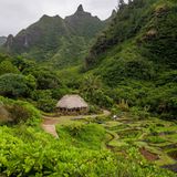 Eine Holzhütte inmitten einer grünen Landschaft