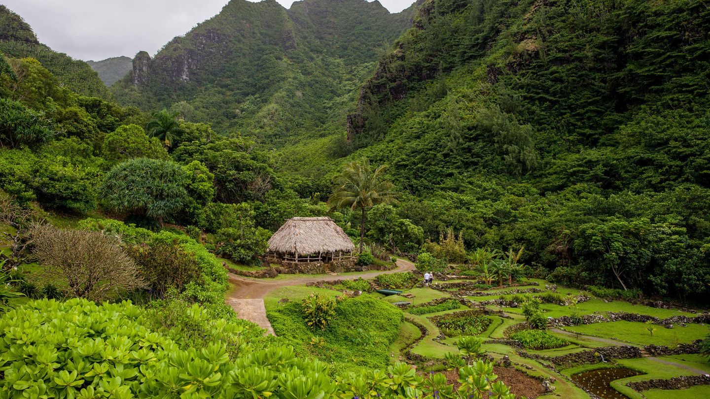 Gartenfreuden im Allerton Garden Eine Holzhütte inmitten einer grünen Landschaft