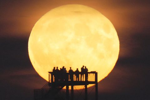 Am 12. August steht unser Trabant als Vollmond am Firmament – und das auffällig groß und hell.