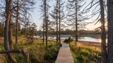 Ein Holzsteg des Rundwanderwegs um die Talsperre Oderteich im Harz