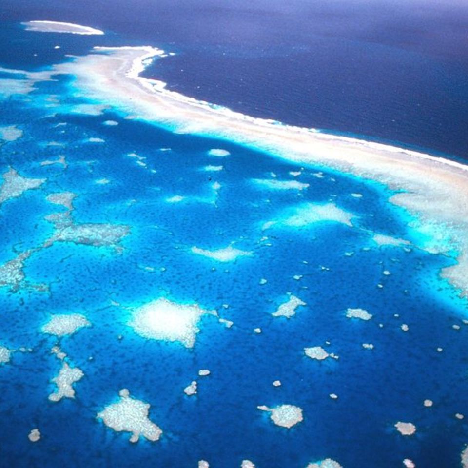 Das Great Barrier Reef ist sogar aus dem Weltraum zu sehen