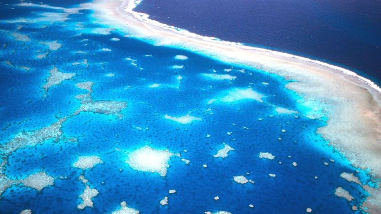 Das Great Barrier Reef ist sogar aus dem Weltraum zu sehen