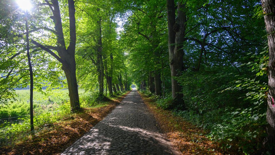 Klopstockweg am Schaalsee Klopstockweg am Schaalsee