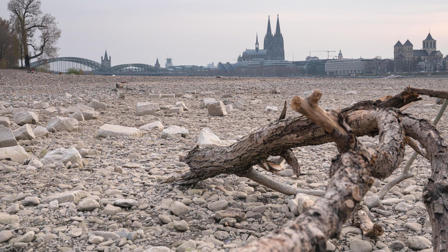 Ausgetrockneter Rhein in Köln